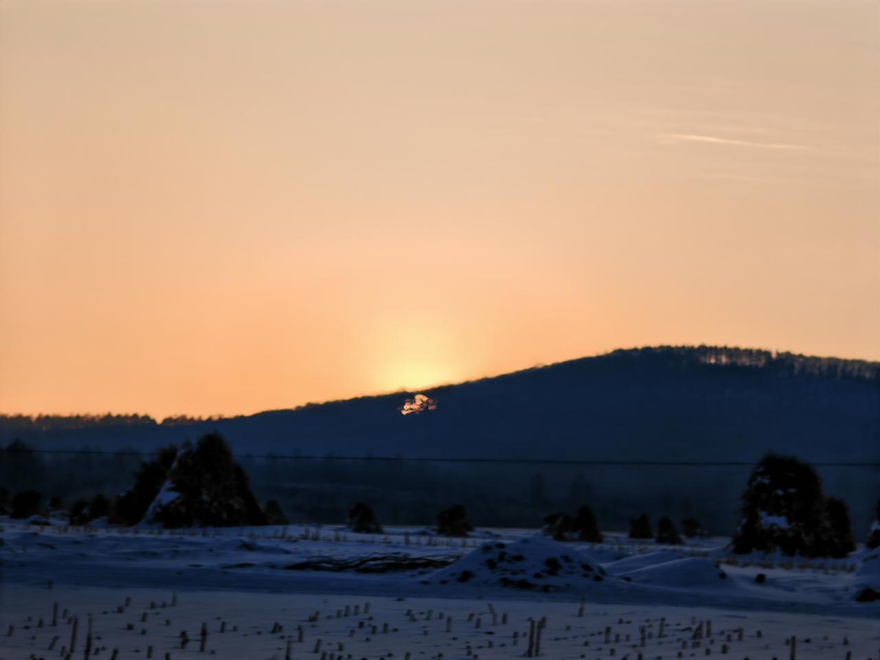 与痛风斗争的历程149
 
   早上起床，浑身关节都很顺畅，没有丝毫不适和痛感