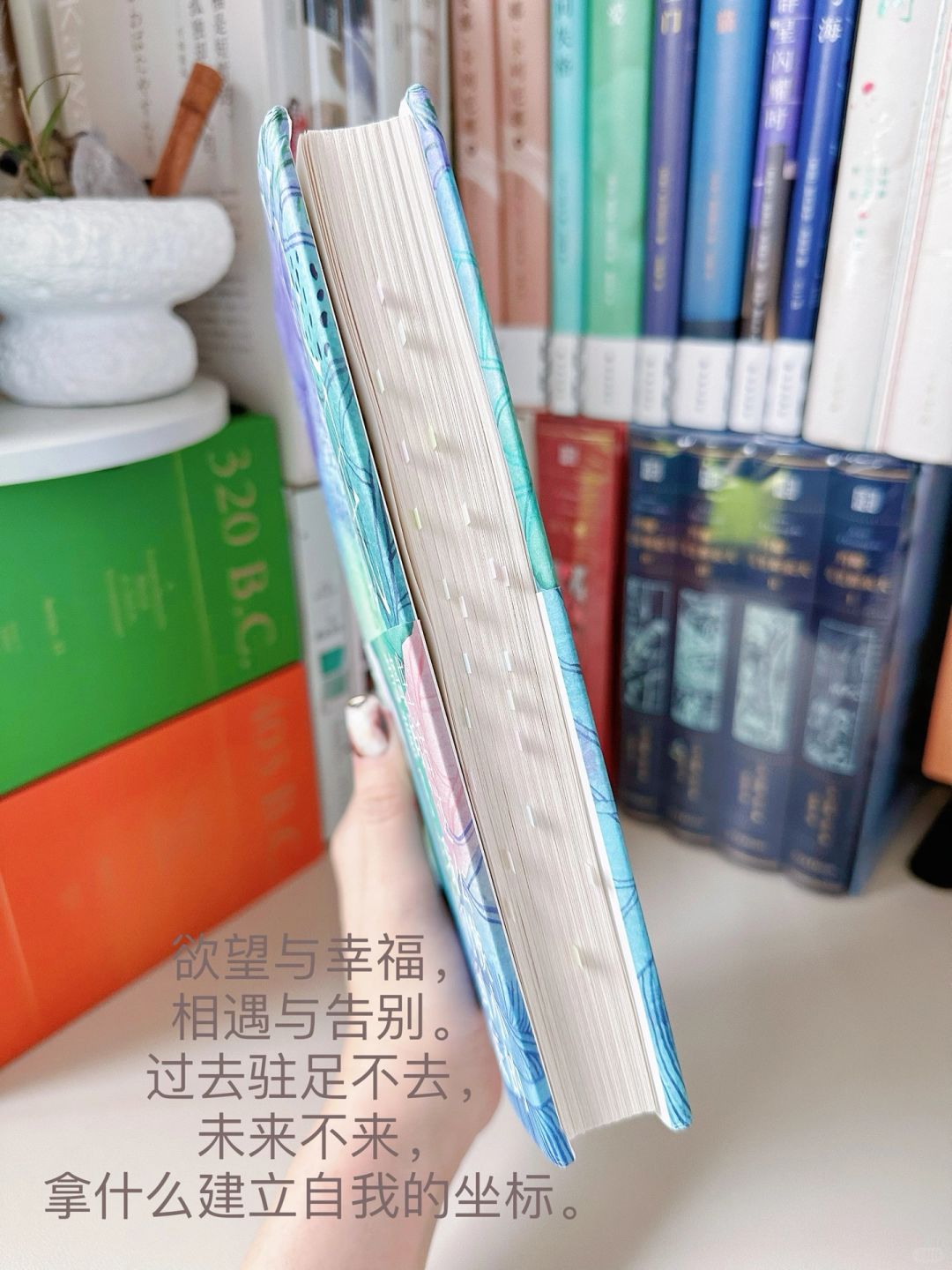 生活这么狭窄的岛屿，我们到底急着飞去哪？