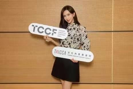 台湾第一名模打脸“台独”？

台湾官方机构下属的文策院
原本希望利用林志玲的影响
