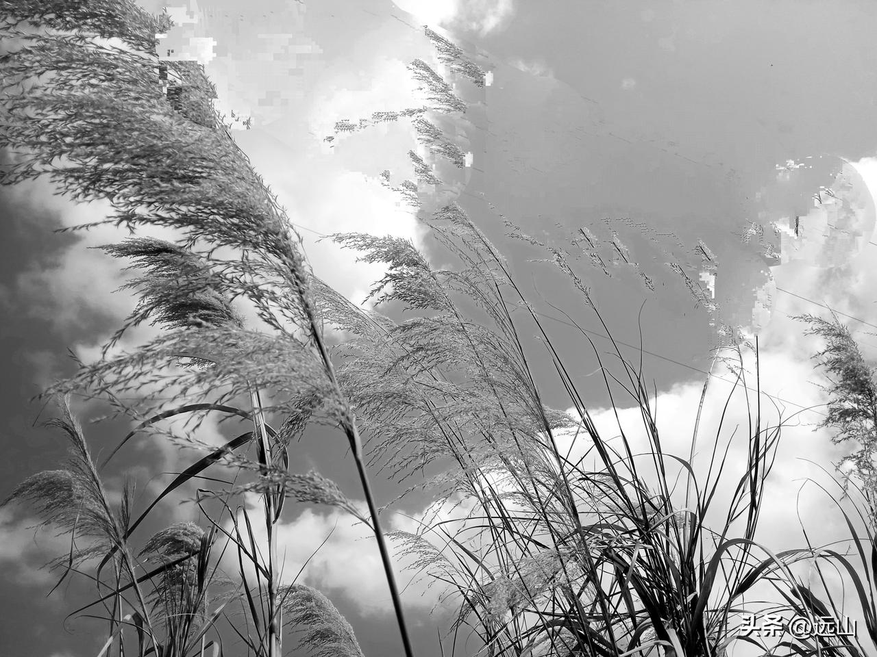 以前，村人还相信迷信和邪教，村里李家的妈妈患上了重病，儿子请来了村里懂邪教的先生