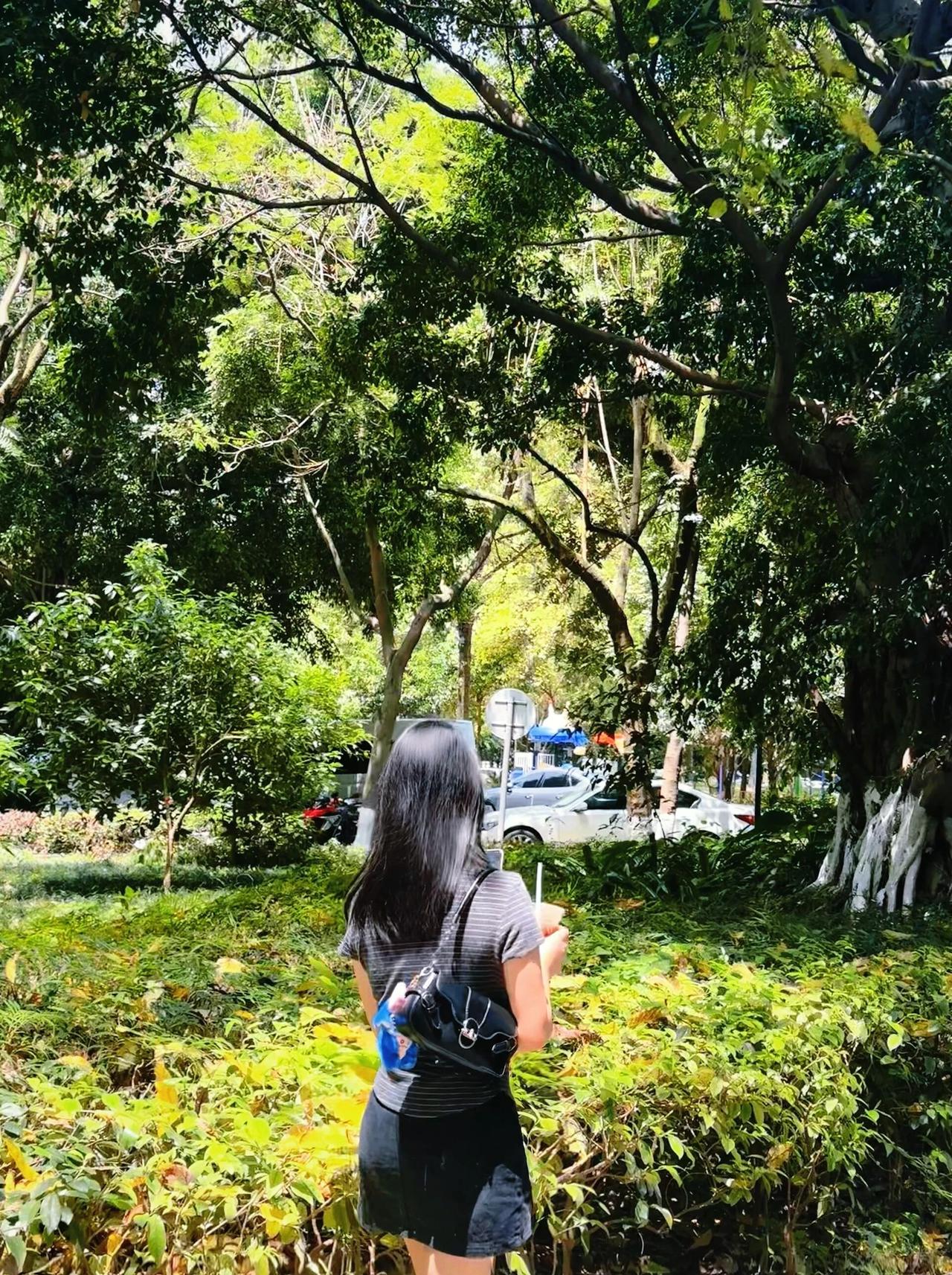 漫步在绿意盎然的公园，享受宁静的午后时光。🌳🍃