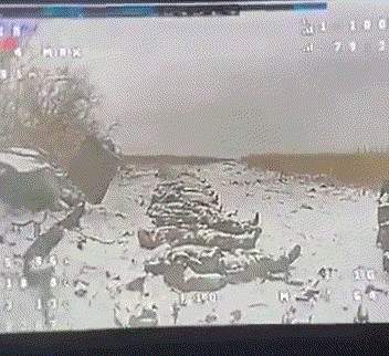 朝军敢死队玩命冲锋，数十具遗体被乌军羞辱：排成一排拍照

这两天乌军放出了一段羞