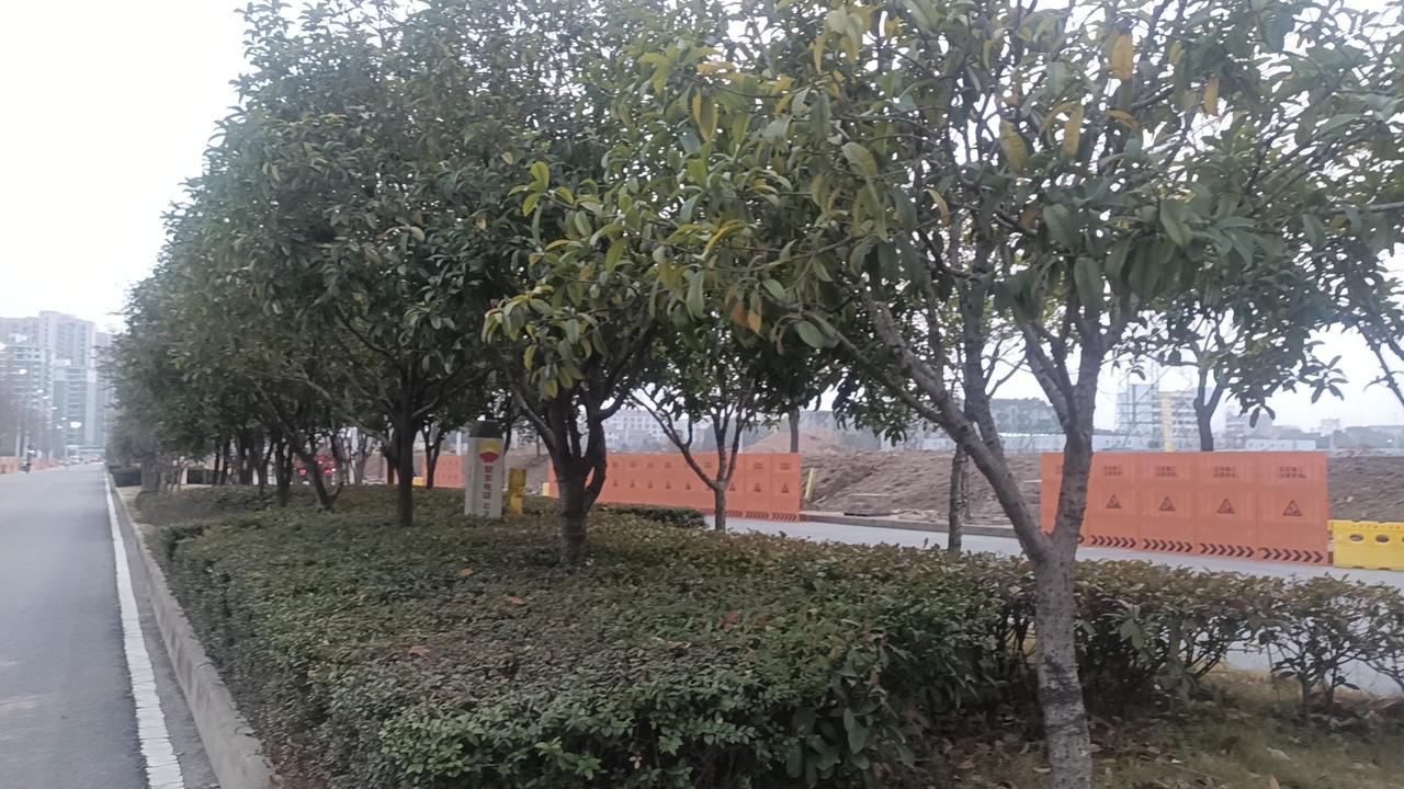 - 所有权归孩子：压岁钱是长辈对孩子的赠与，《民法典》明确：所有权属于孩子个人财