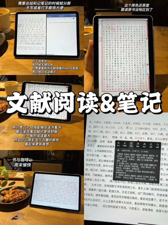 iPad阅读｜读文献与记笔记的绝佳工具🔧