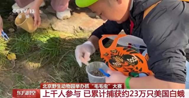 外来物种为何屡禁不止？国安部：3条红线，出入境绷紧生物安全弦