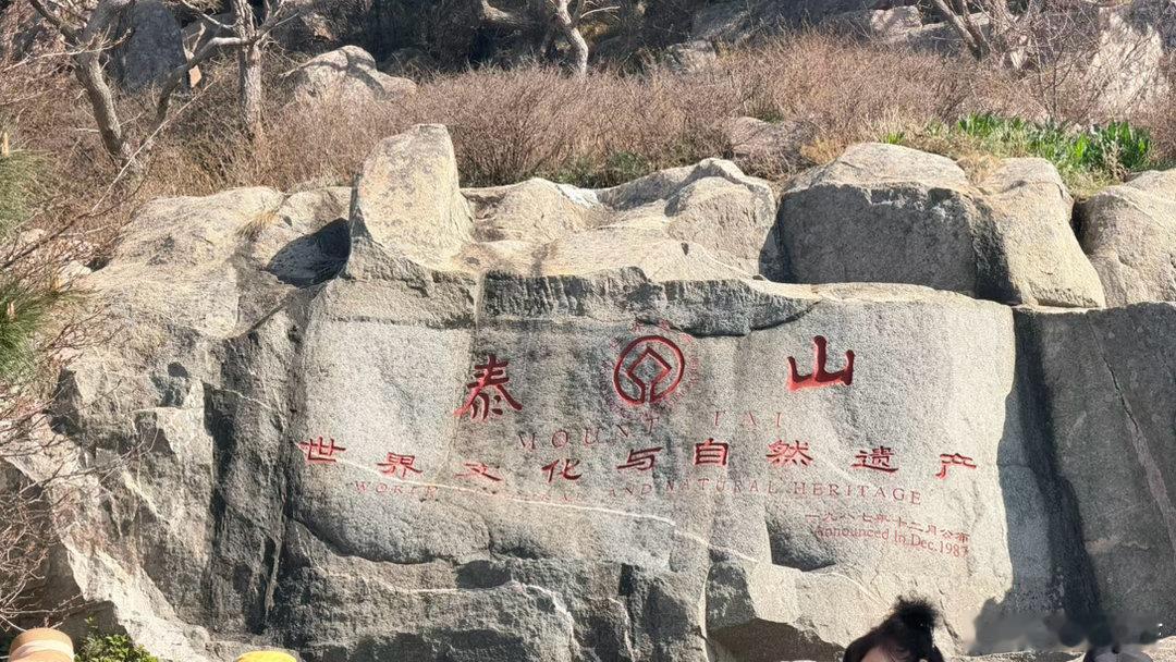 杨瀚森，你得加油啊，你身后是全国十几亿人的关注，你前身有姚明，王治郅，易 xx，