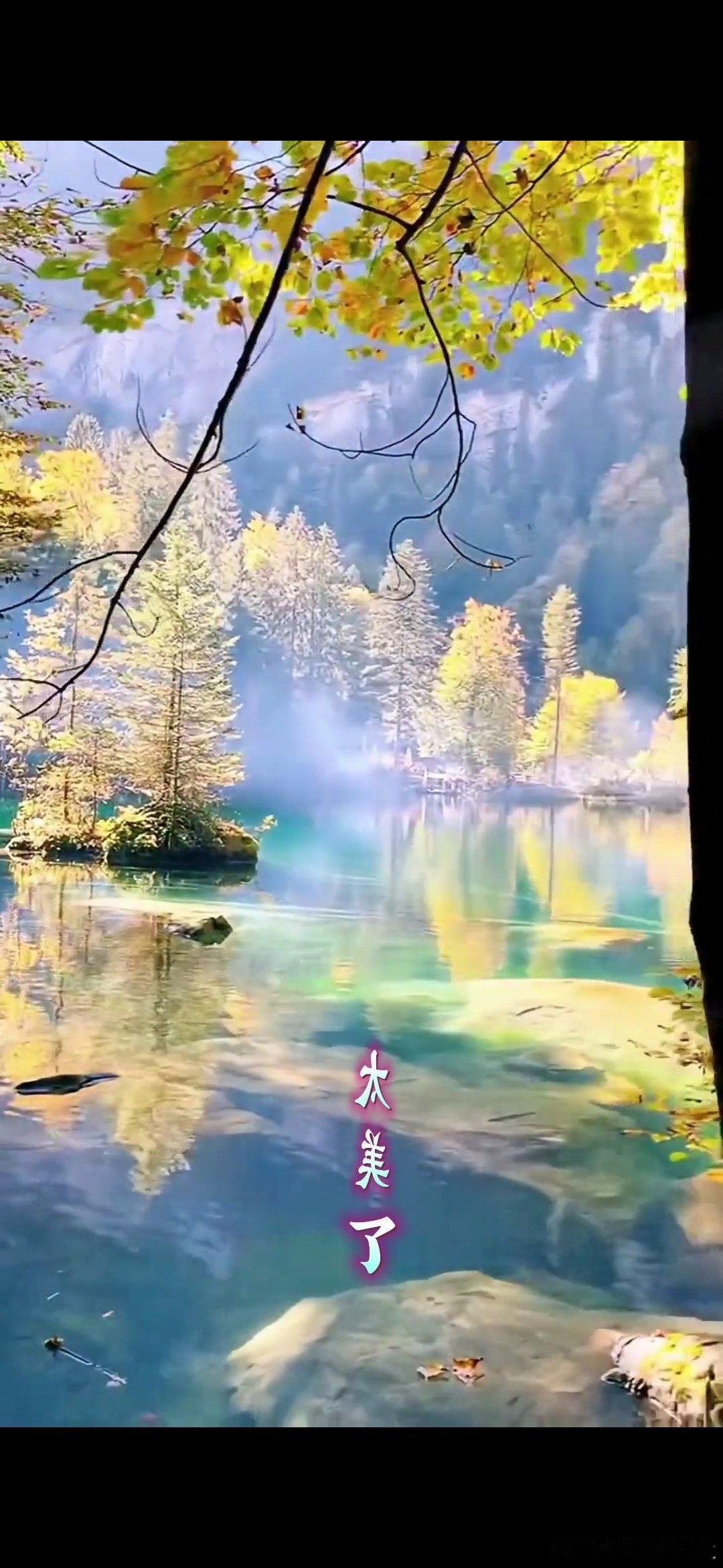 #情感#                      《无题》凉薄梧桐叶未秋，谁家