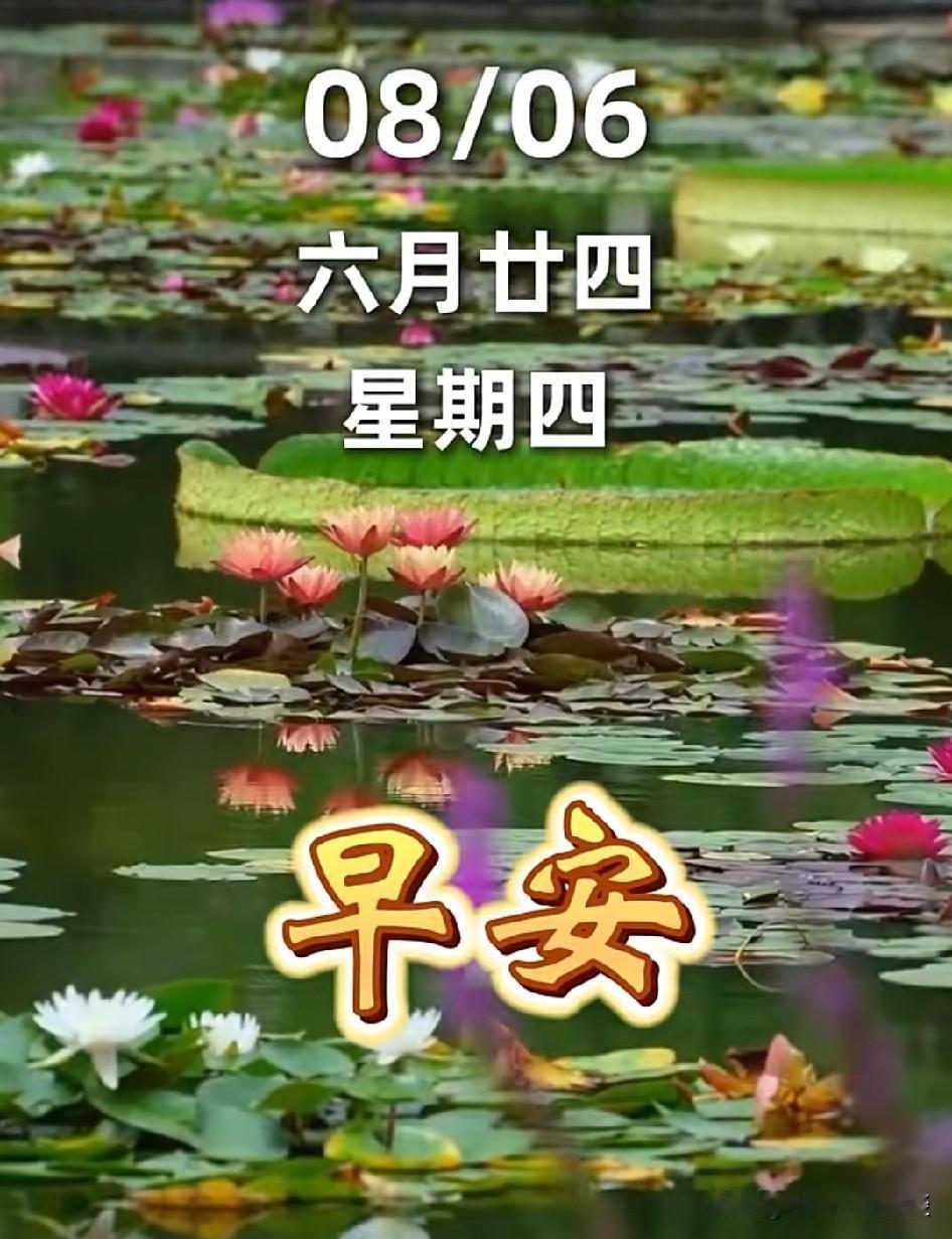 今天是大暑最后一天，暑气未消，清凉尚远。连续几天了，天气预报都是35度，实际体感