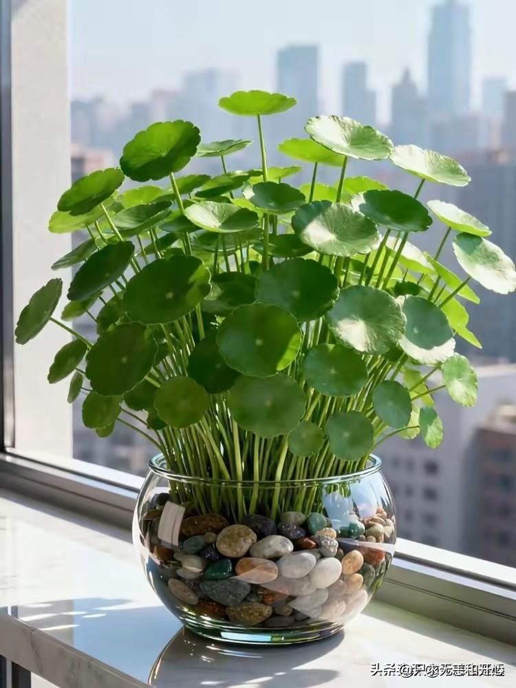 有人说，如果别人觉得你是一个好人，那么你就在他面前做个好人，如果别人认为你是一个