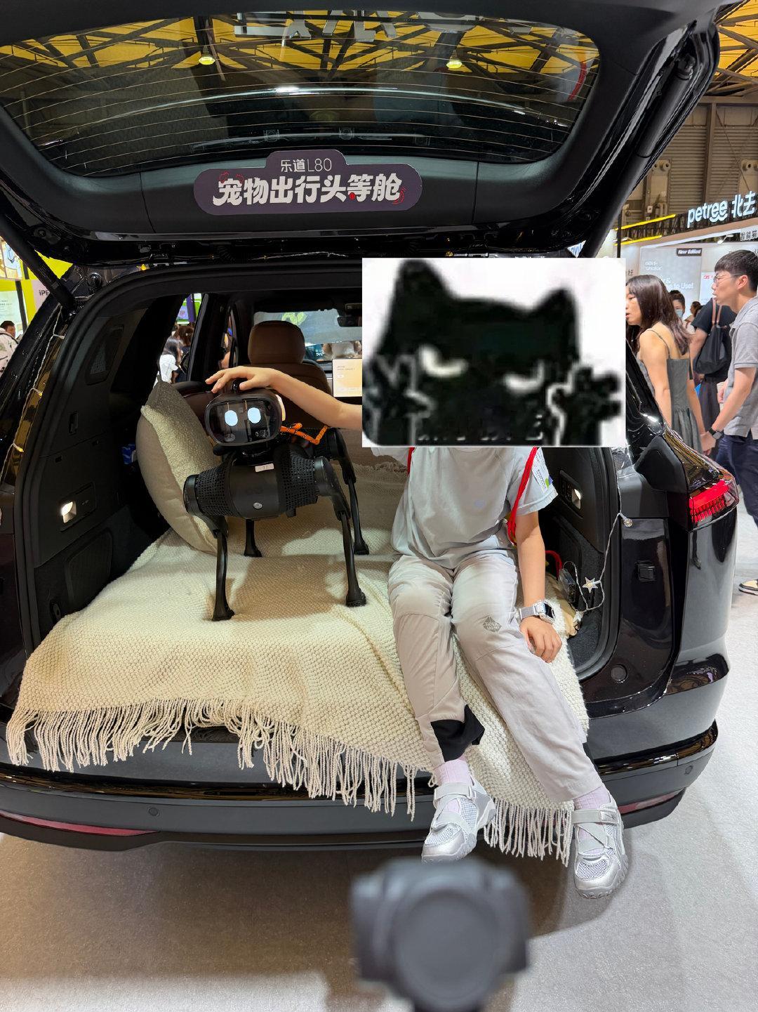 大头在亚宠展不要太受欢迎，在乐道展台当了一下午模特作为唯一一个在场的硅基生物，深