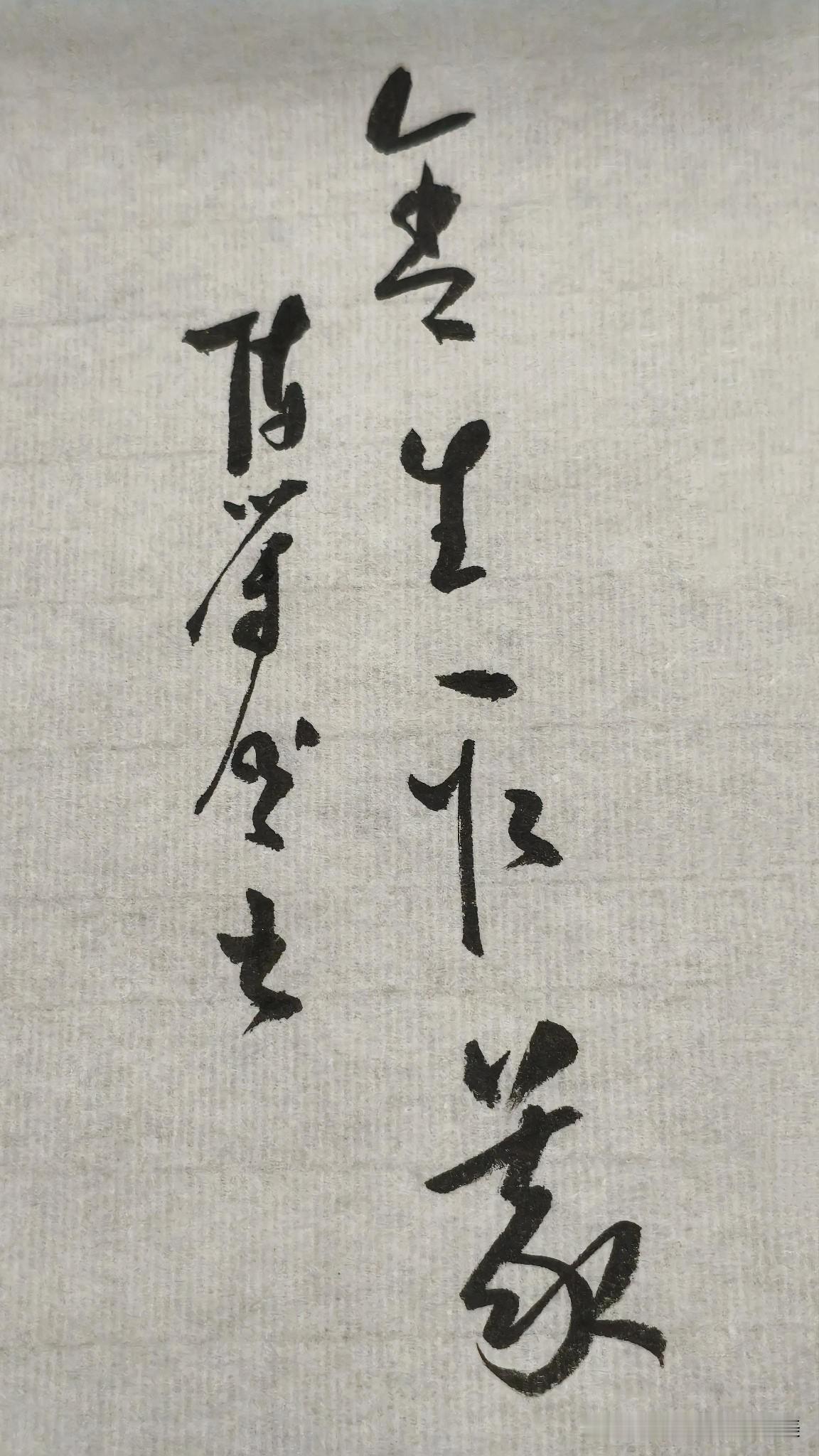 草书精品展示：舍生取义