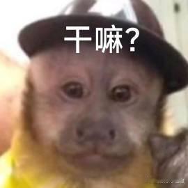 全国首个具身数据采集社区正式运行 在这里，科技与生活无缝连接，居民的日常行为不仅