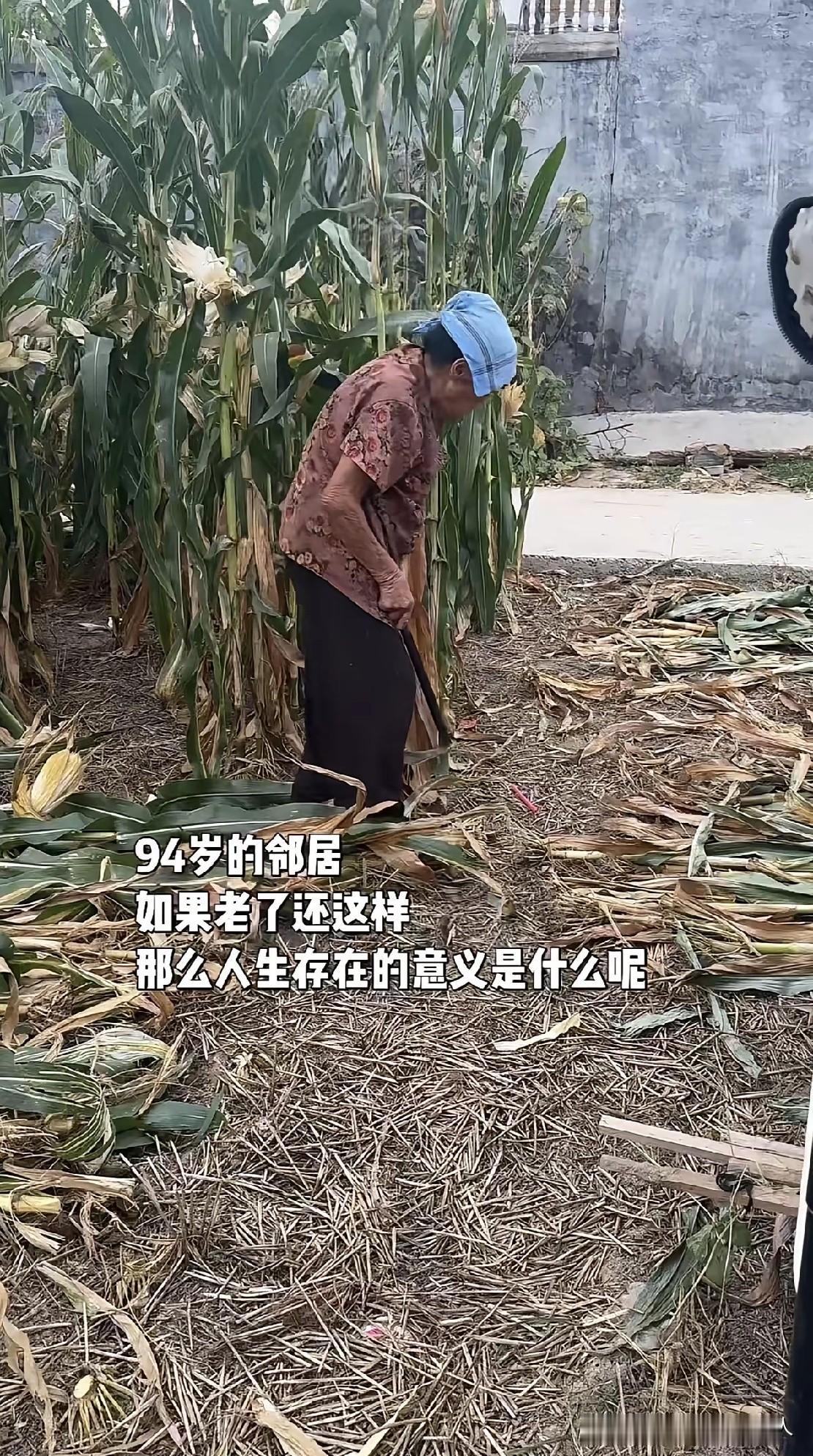 先别管什么人生的意义，我们先来面对两个极其残酷的现实：第一，你得先能活到94岁；