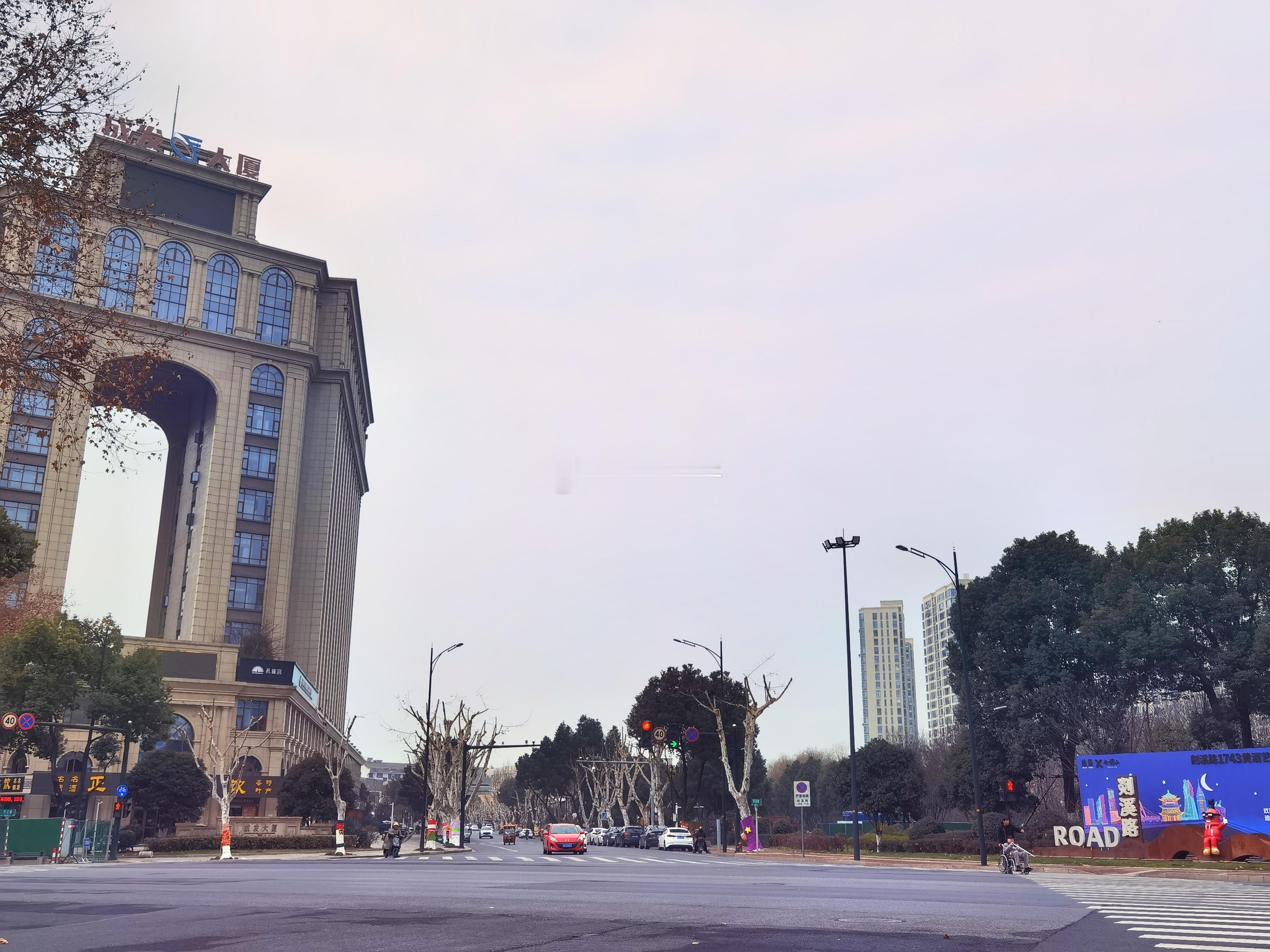 绍兴的一条网红路——剡溪路，路两旁所有的梧桐树都“穿衣服”了。