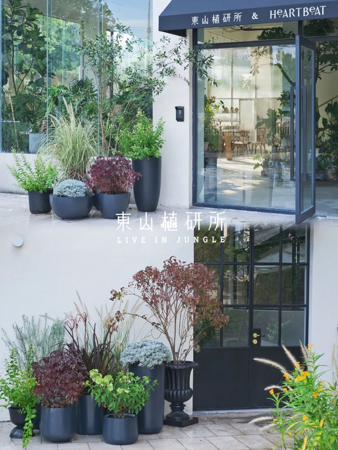 植物布置｜门前摆设植物🆕瞬间增添氛围