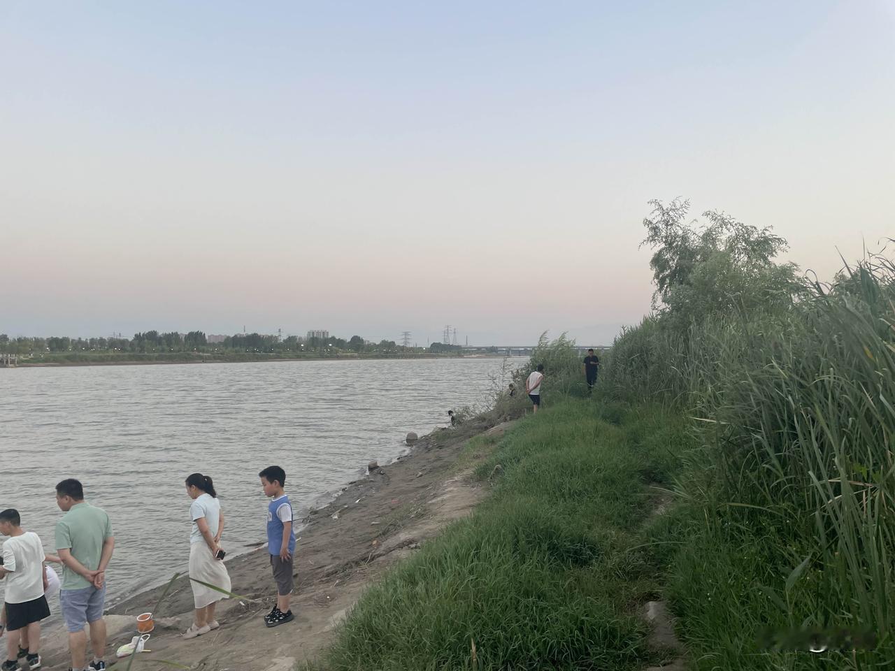 【如梦令•潋滟湖光】
潋滟湖光风卷，柳钓清波缱绻。
几许草虫鸣，惹得池蛙顾盼。