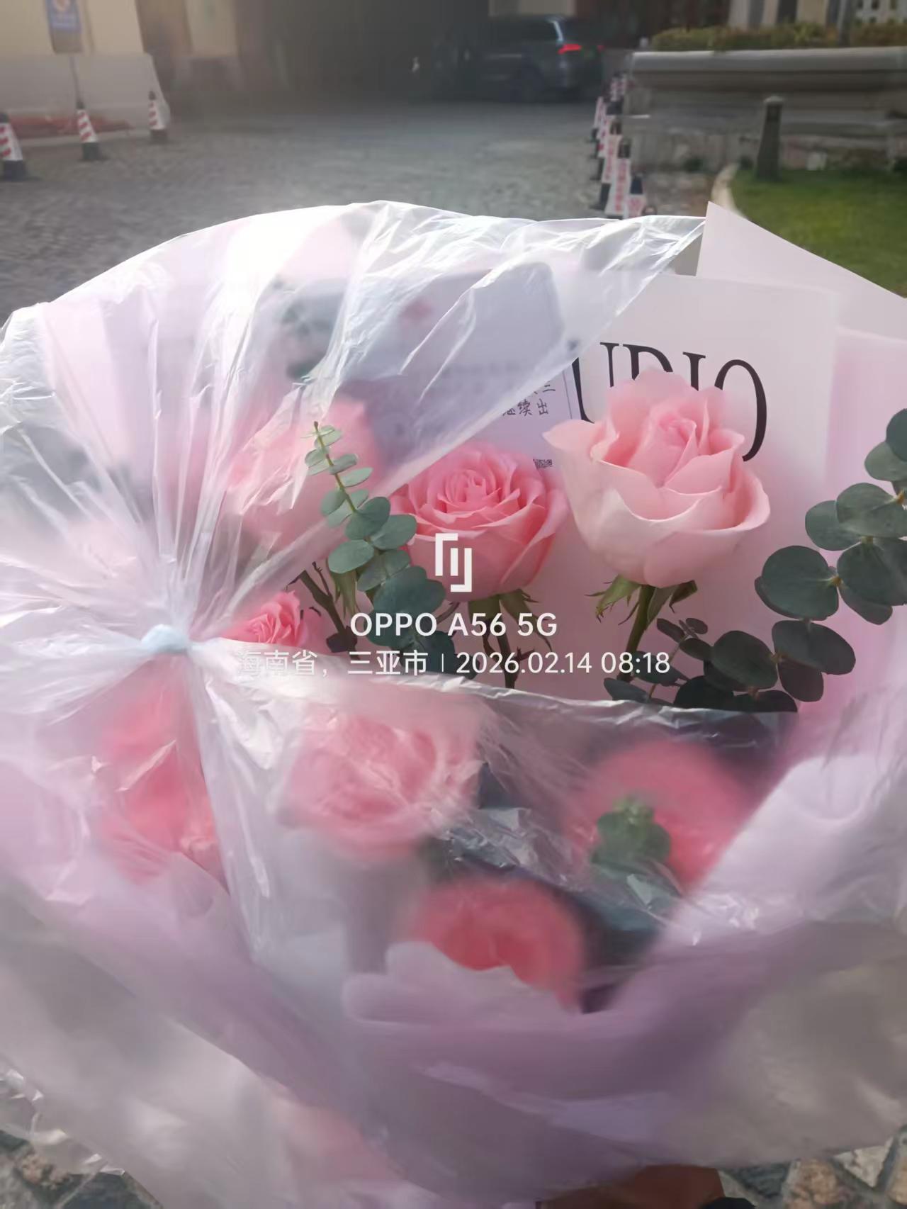 新春来抓马 我的足迹地图