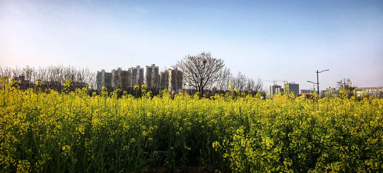 86年，月底失业了！
一套房，贷款还剩43万，月供2068；
两个孩子，大的二年