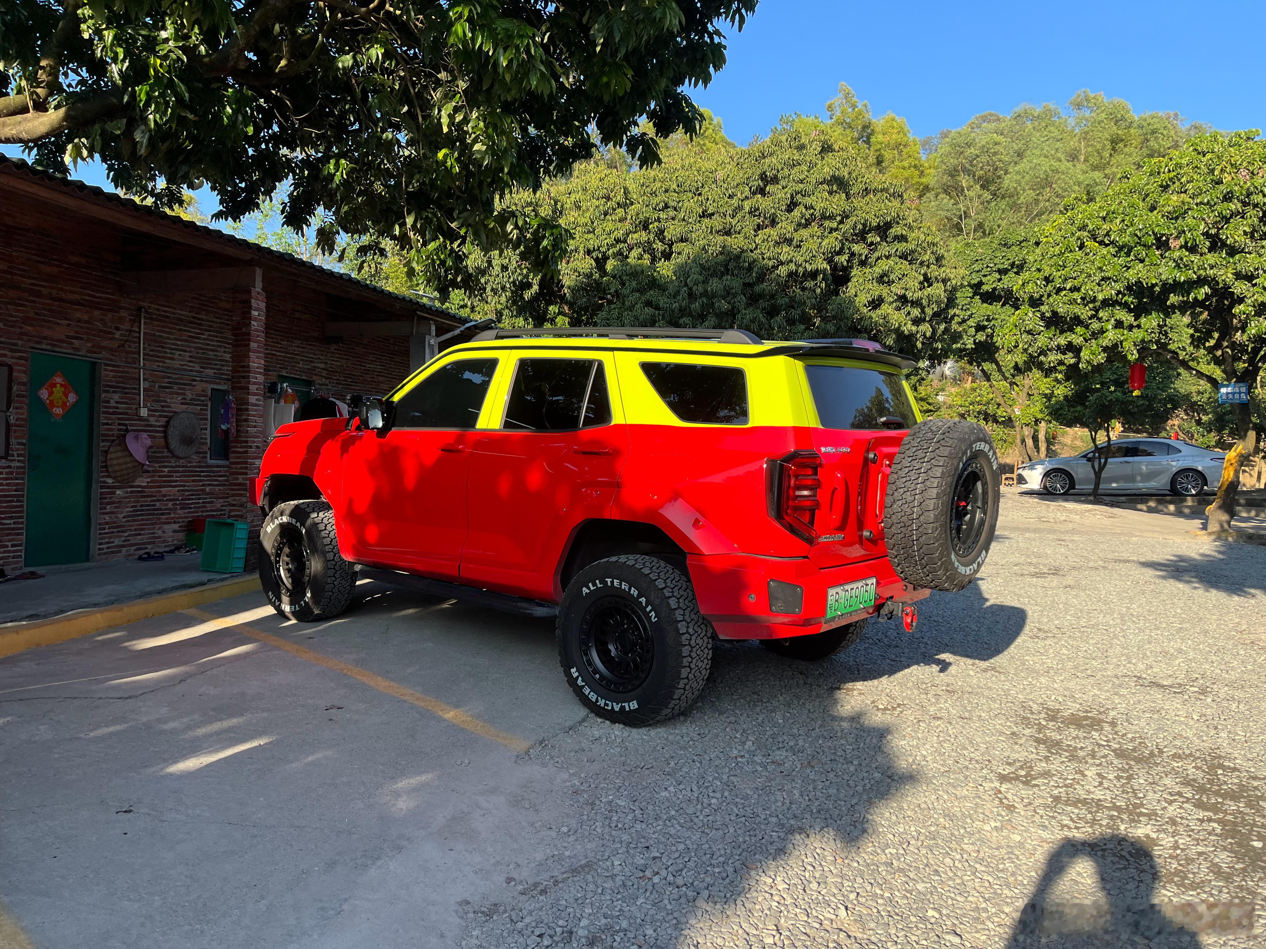 帅的很，闻到了一股自由，挣脱束缚的味道，看到忍不住拍一张。 