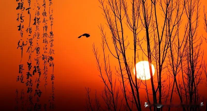 豪情万丈的诗词佳句可太多了。像项羽的“力拔山兮气盖世，时不利兮骓不逝”，短短一句