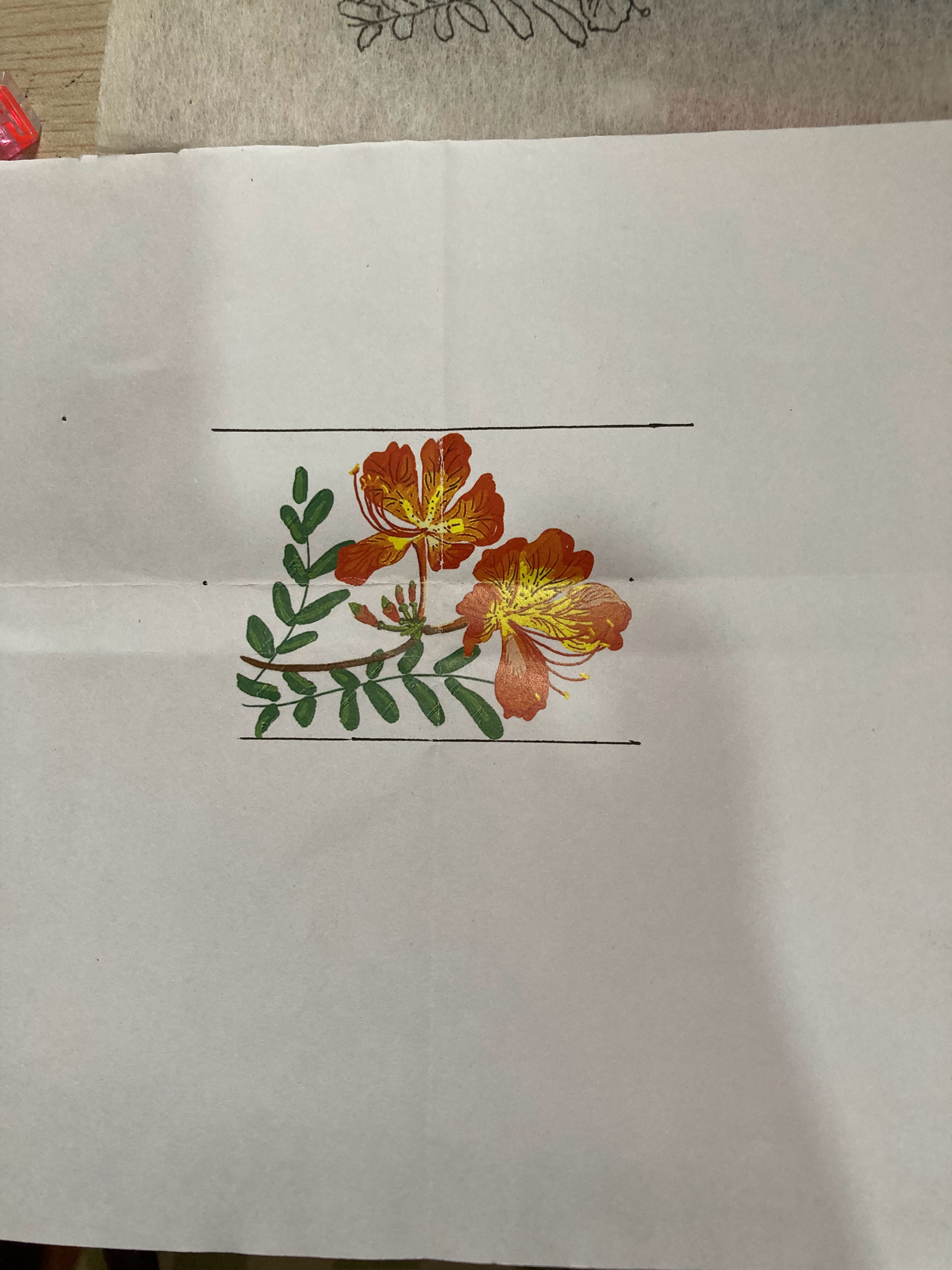 #生活手记#转印半天决定放弃，绣布面积太小，图案线条多，色彩层次也多，拓到布上，