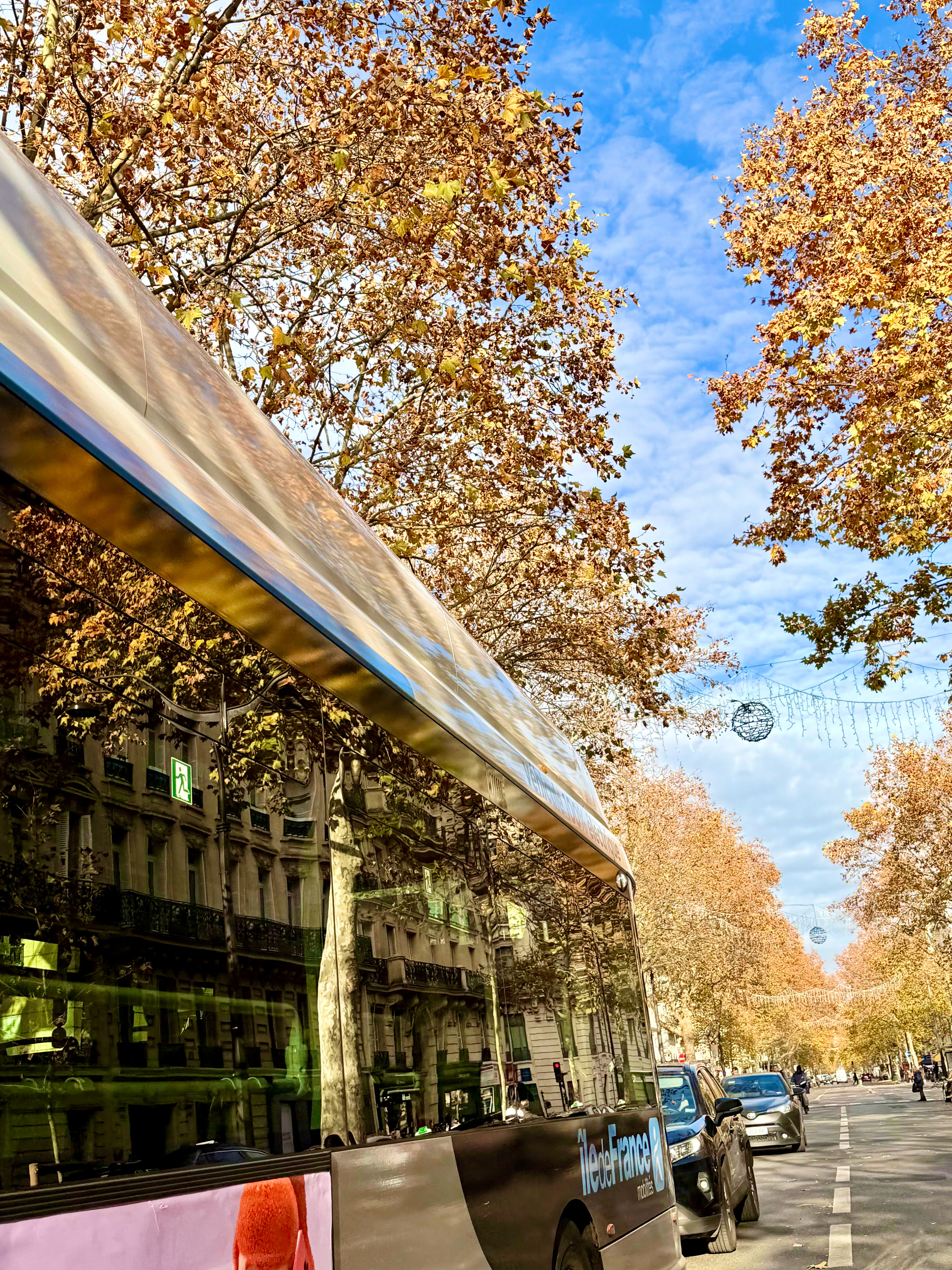 秋天的浪漫 🍂 