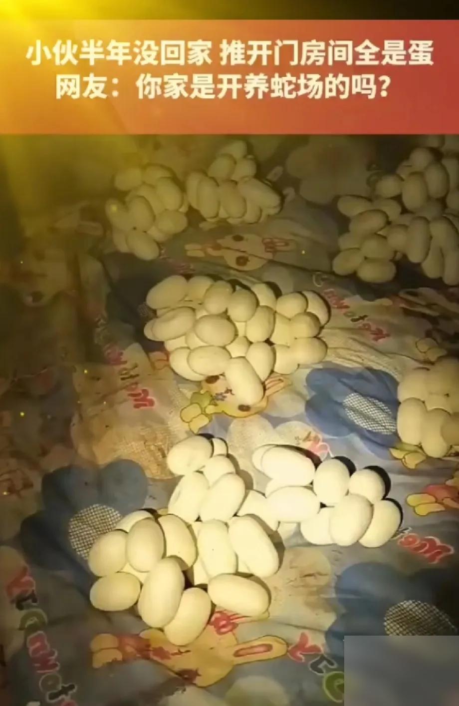 吓哭了！据报道，江西一小伙整整半年没有回过家，最近，他返回住处，一开门就碰上了让