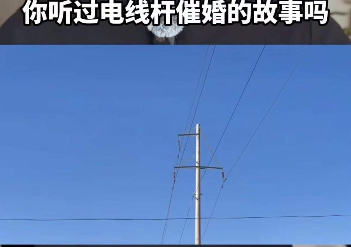 这个段子让人笑发财了！你听过电线杆催婚的故事吗？父亲觉得儿子单身的原因是因为家门
