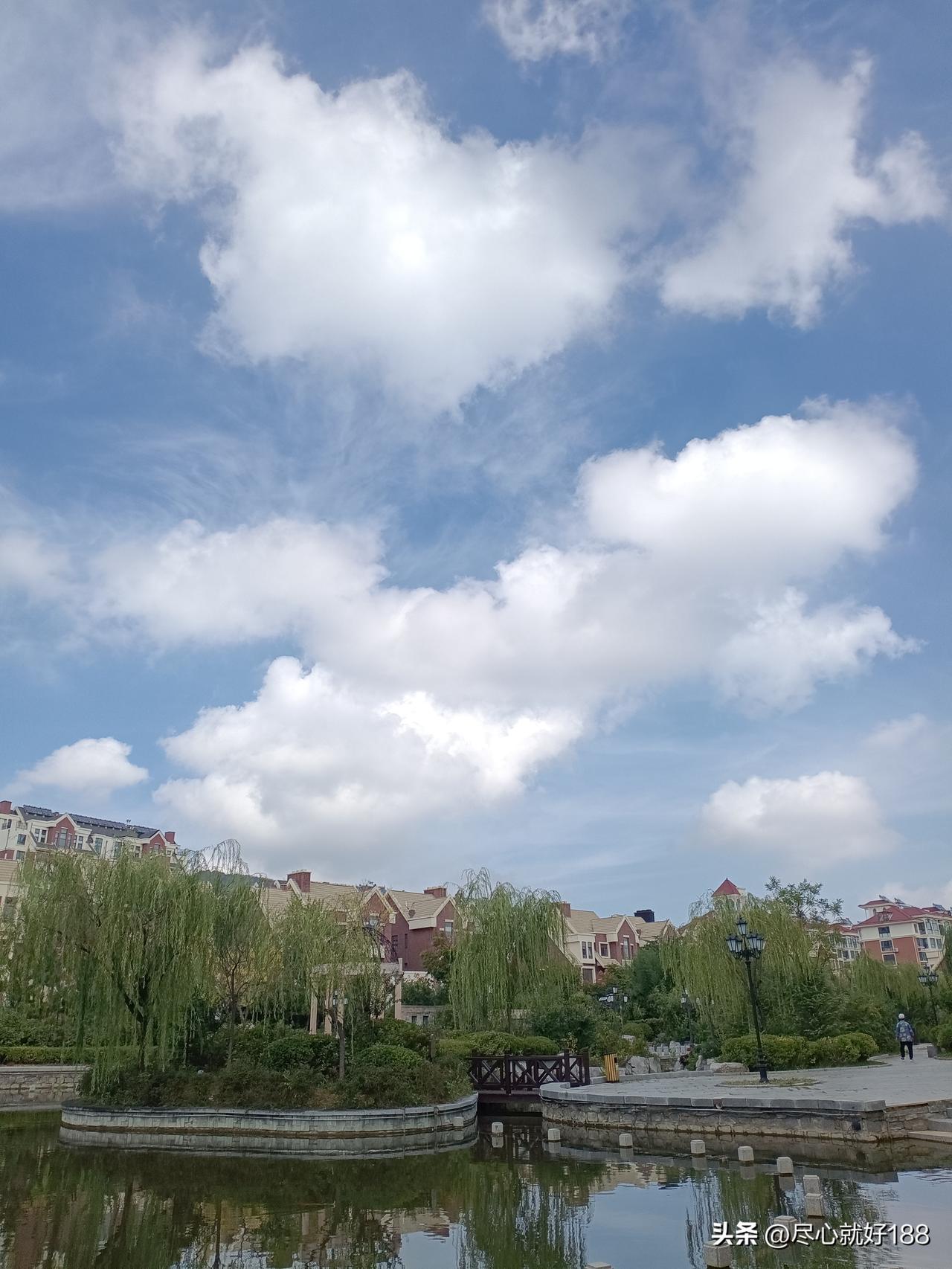 妈妈昨天准备去住院，没想到没有现成的病床，只能回家等消息，最后走的时候，医生的意