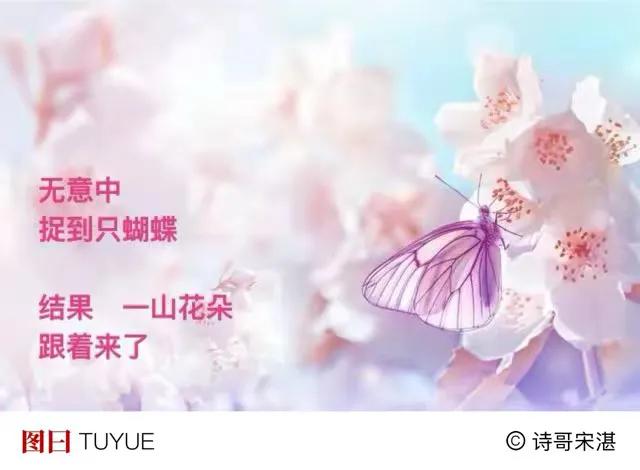 一个夏天 
习惯打开地图册
山脉河流
一帧帧颜色生动
．
整个世界
允许我想来想