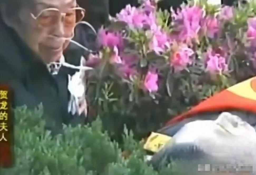 2001年，贺龙元帅之子贺鹏飞，突发心脏病猝然离世，葬礼上，85岁的母亲薛明，盯