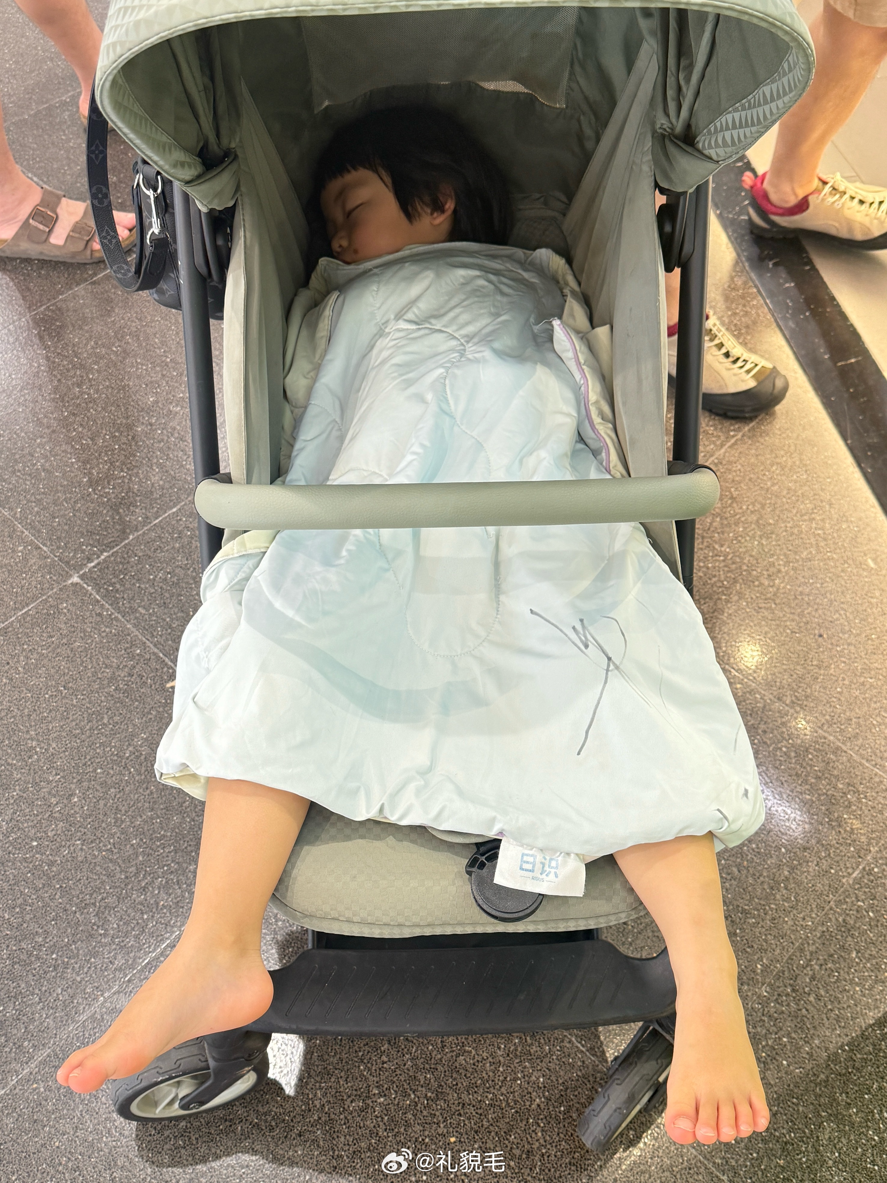 提早午睡了待会儿大象营跋山涉水非常完美的安排 