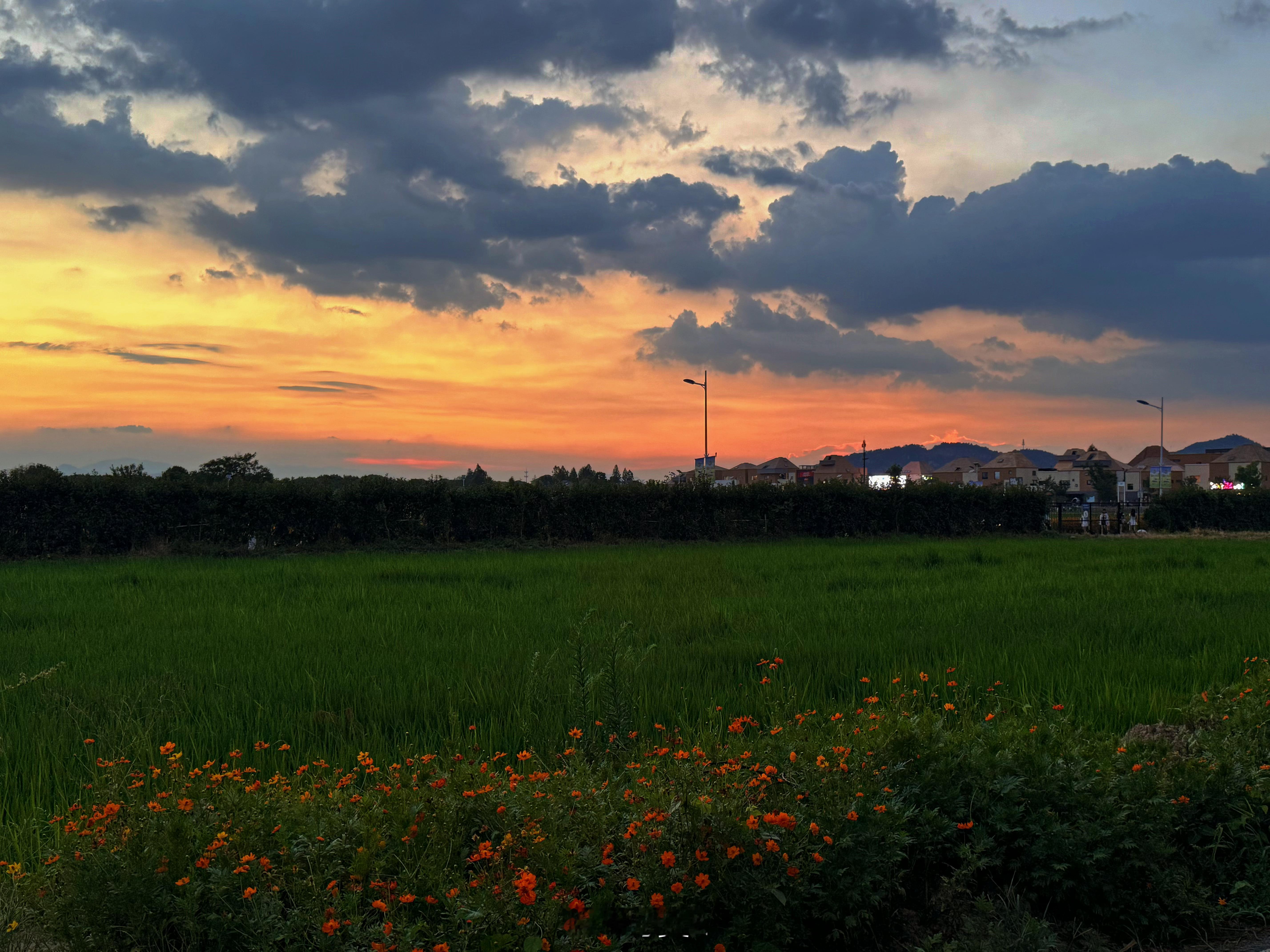 亲测！后陡门的夕阳真的很好看十个勤天十个勤天