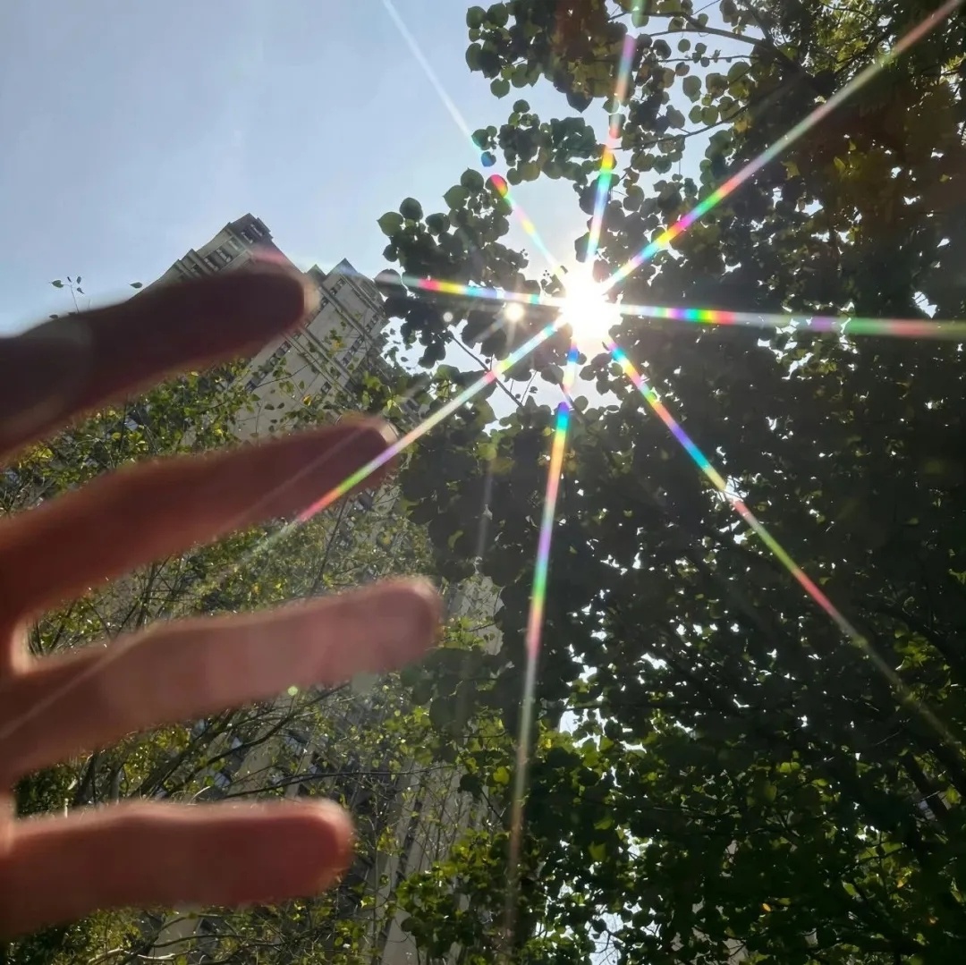 日子平淡细碎，好在我喜欢 