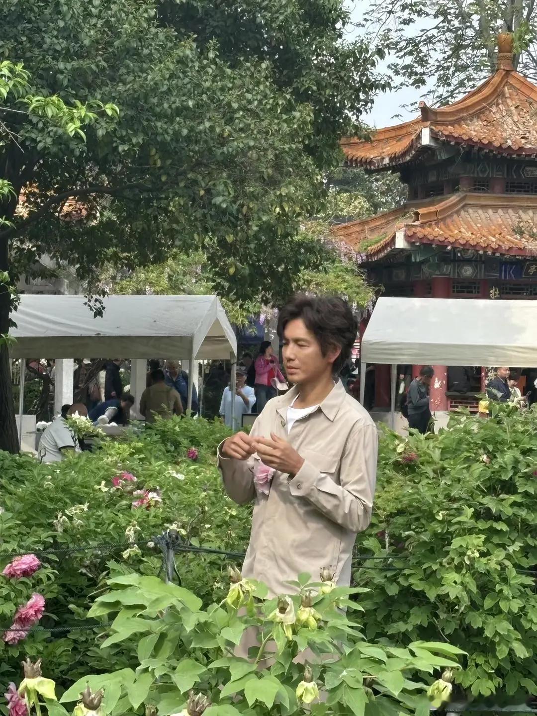 老了干啥都心酸啊…… 