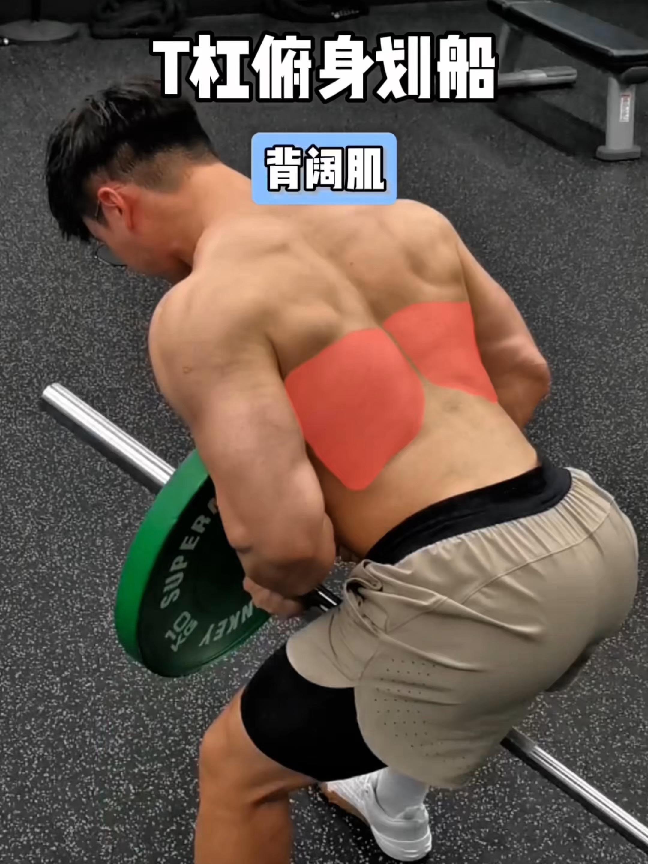 T杠俯身划船，保姆级教程！ 一、目标肌群 T杠俯身划船，背阔肌 二、练...