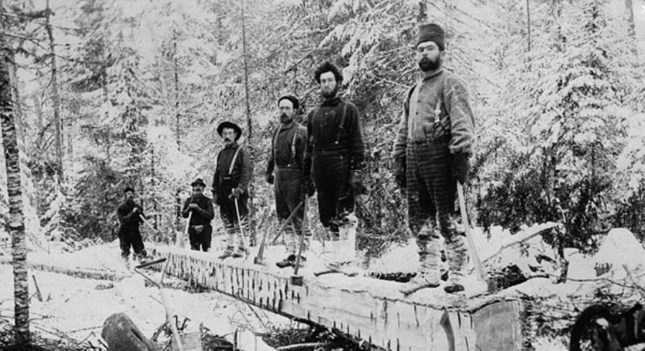【移民到加拿大的爱尔兰难民】
在1840年左右，大批爱尔兰移民乘坐所谓的“棺材船