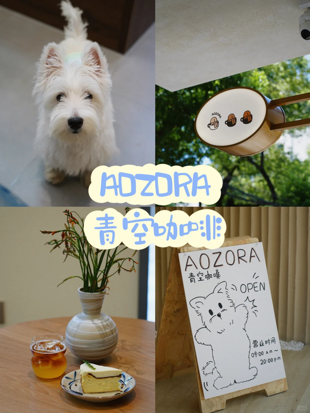 无锡｜欢迎👏参观🍉西瓜地老师的店