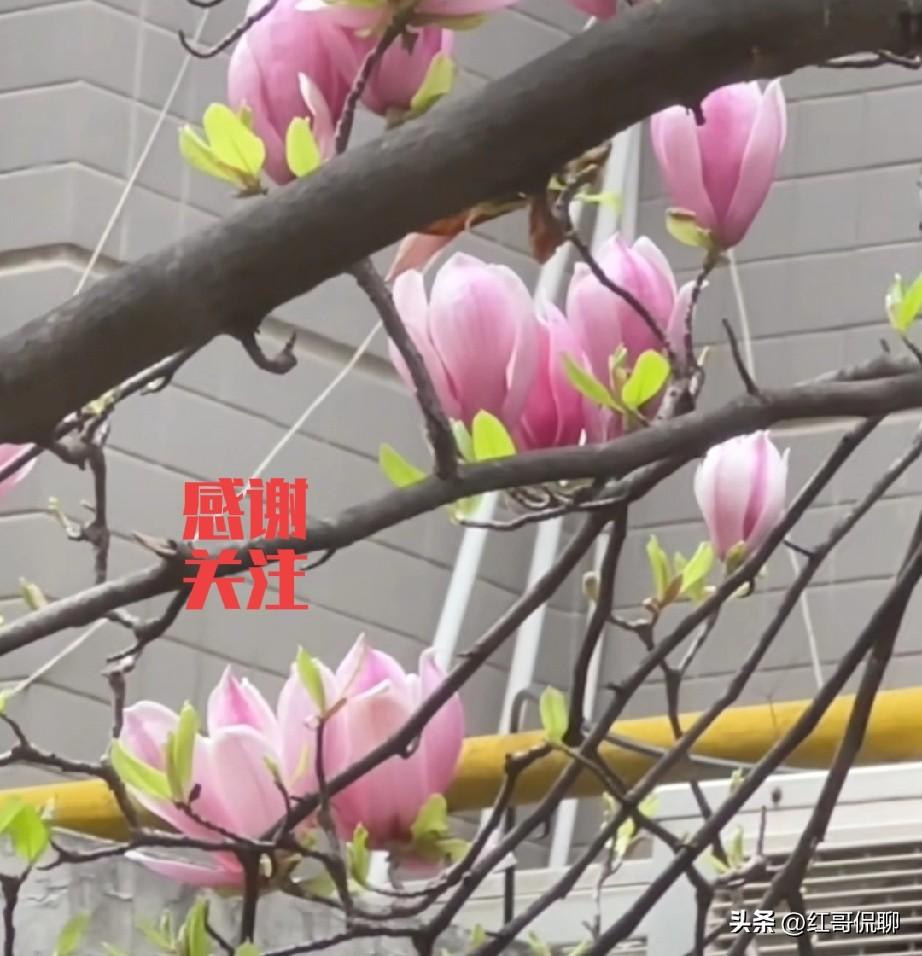 职场上的性骚扰，往往是官大缺乏监督，上司揩油风险小，再加上现在好工作不好找，等外