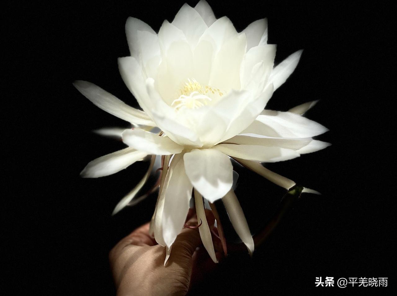 快来看看我新换的主页背景吧