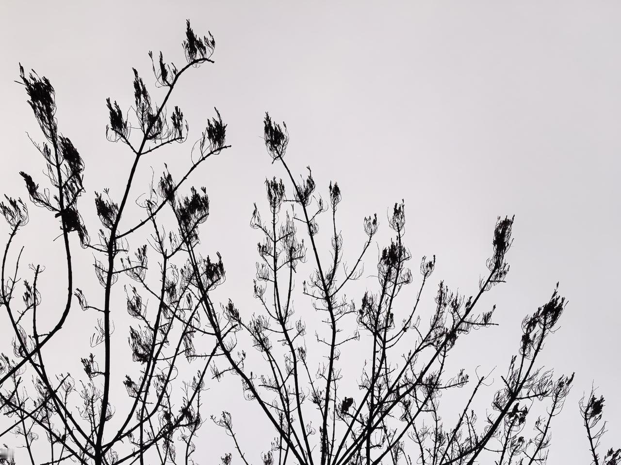 人生的意义，究竟是该“拼”，还是该“平”，张雪峰之死——“拼”到尽头，谁来为人生