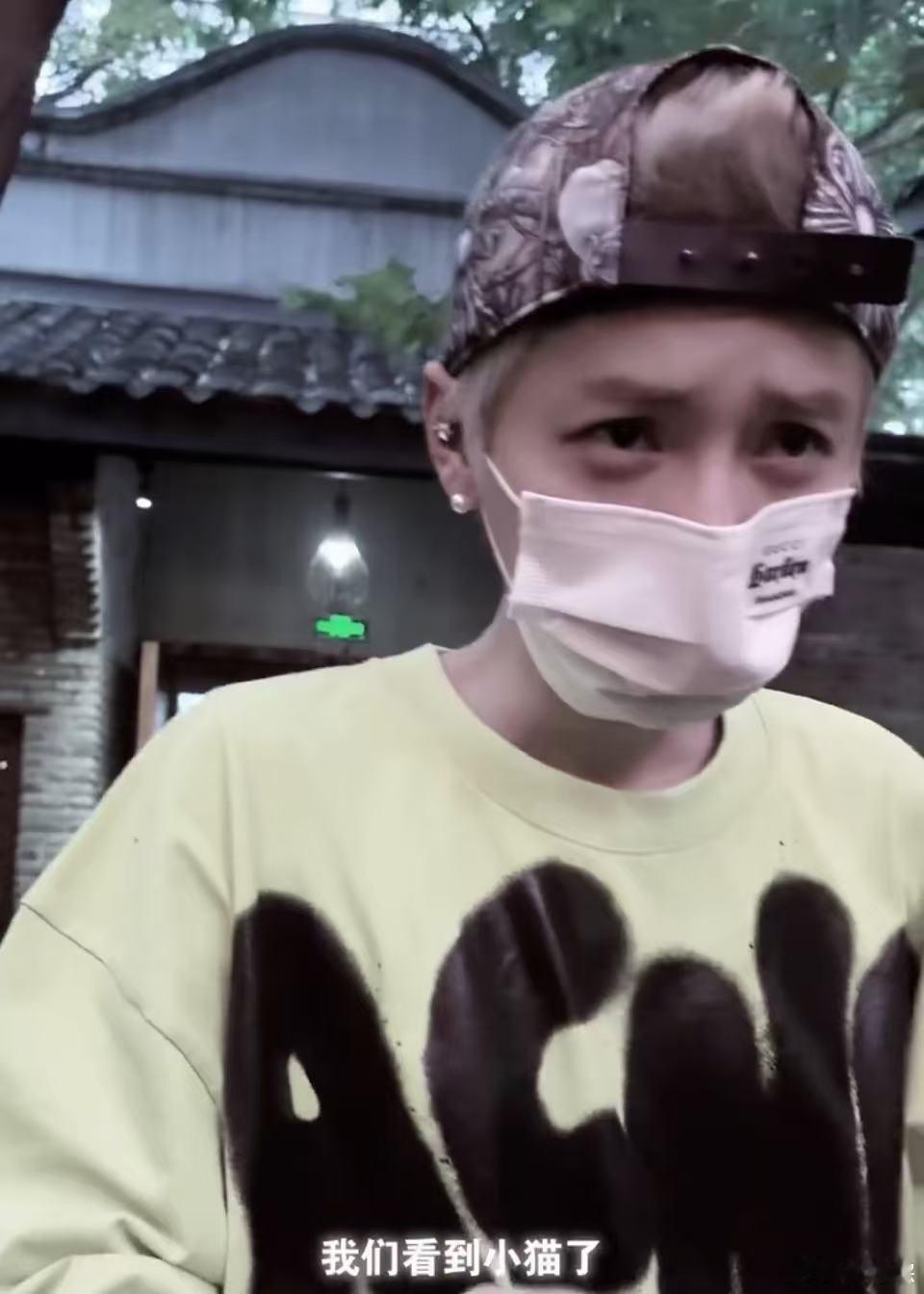 鹿晗给流浪猫买猫碗猫粮猫条鹿晗给流浪猫买猫碗猫粮猫条！我保证鹿晗是天使