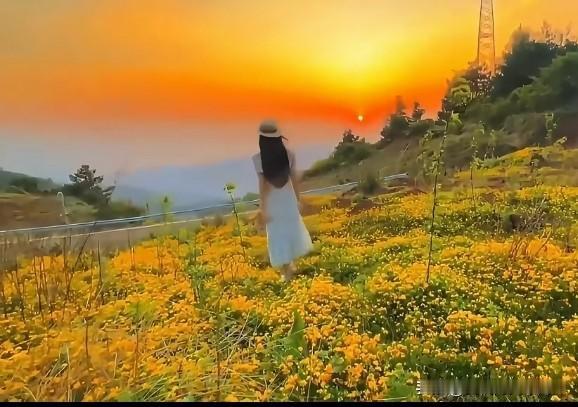 不知道怎么回事，我的手机号总是显示快递外卖，谁有什么办法帮我去掉 。我不喜欢，别
