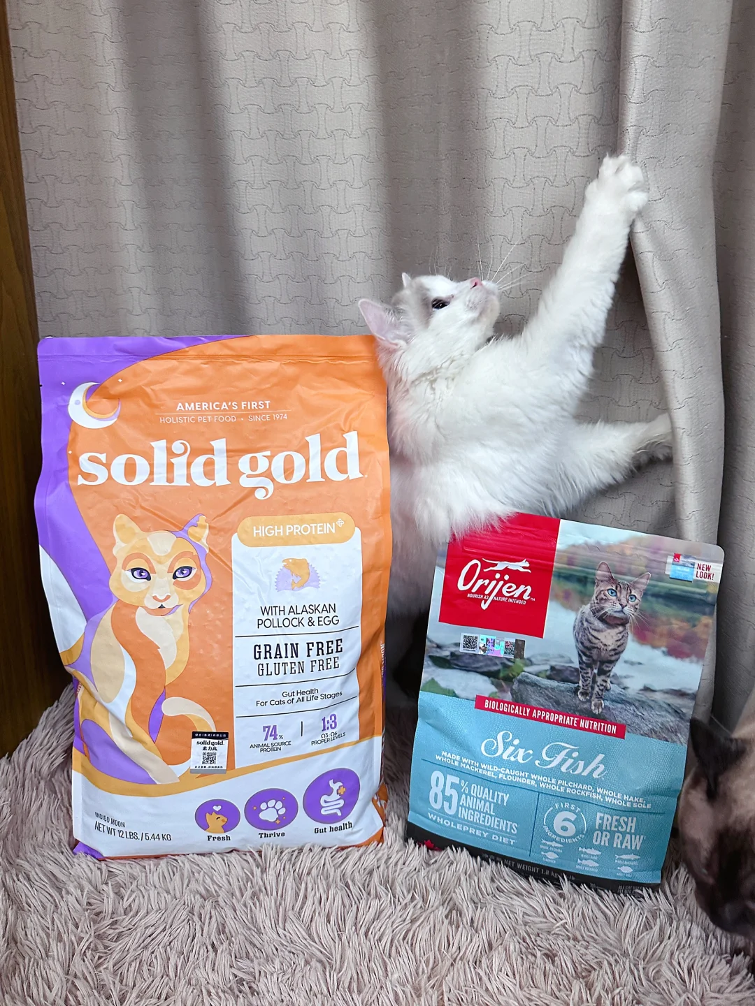 美毛猫粮选择白热化😭这两个吃谁