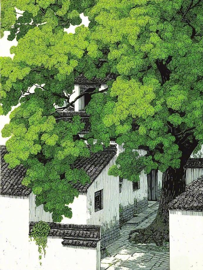🌿绿荫情浓，在青瓦白墙间遇见岁月静好。 