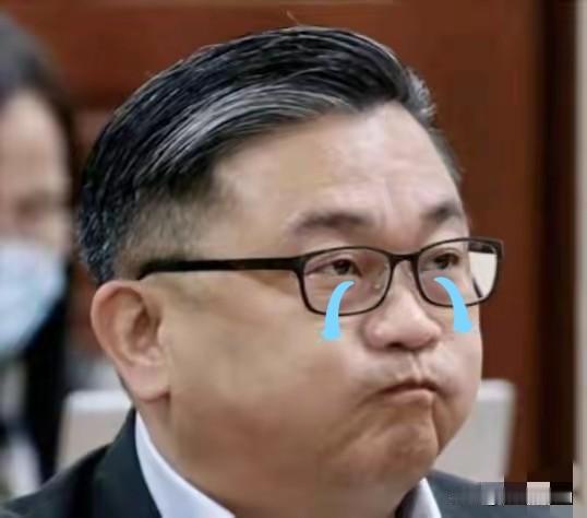 正义或许会迟到，但一定不会缺席！
“台独”顽固分子王定宇、萧美琴之流该吃不下、睡