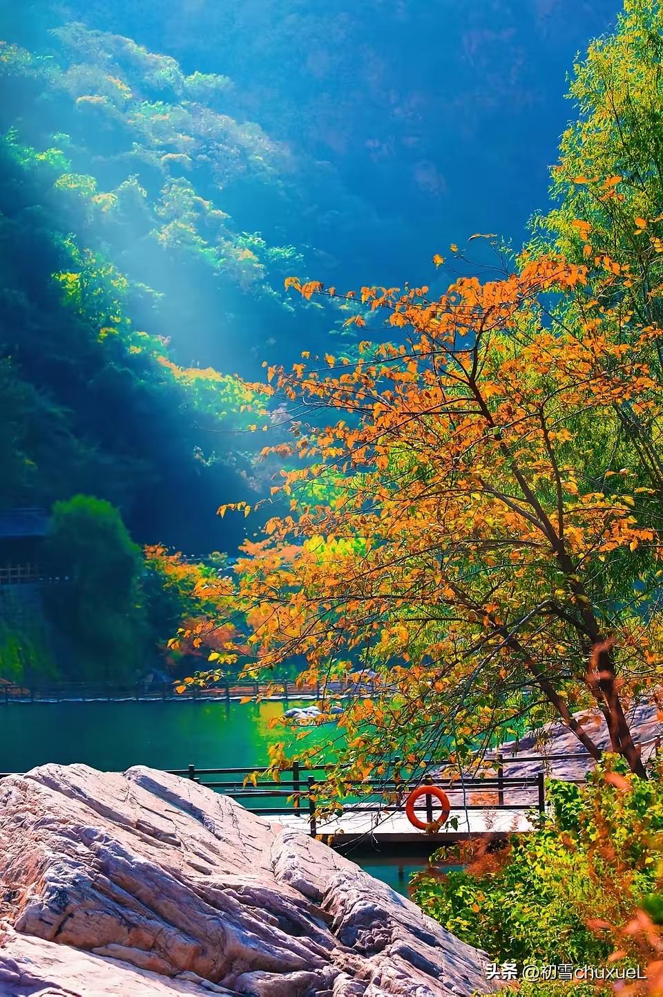 年轻时，
总把力气用在对抗——
对抗不公，对抗误解，
对抗眼里所有看不惯。
以为