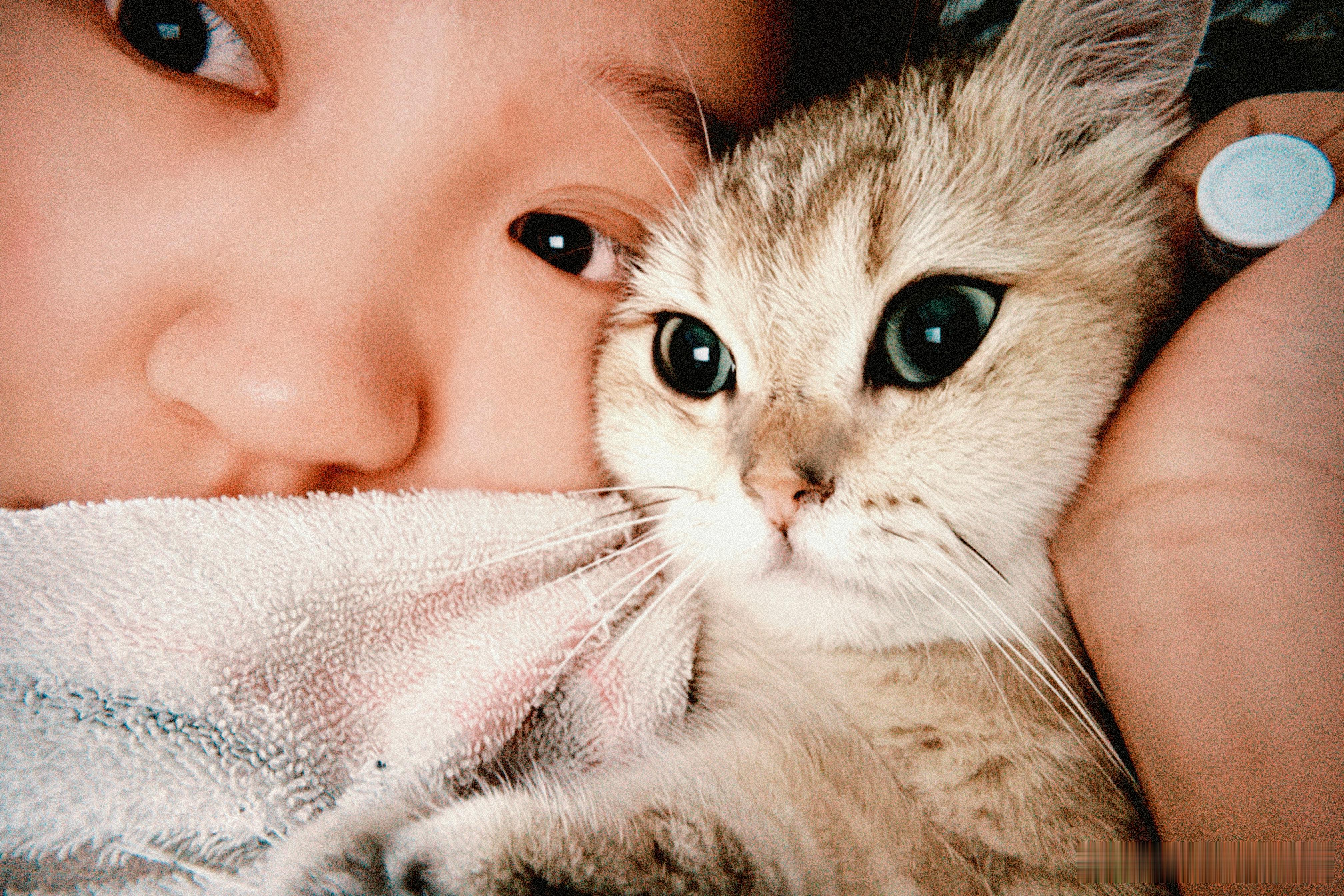 今天要换床单了大扫除了所以允许它上床眯（我也邀请点点了只是她更爱客厅的大空调大沙