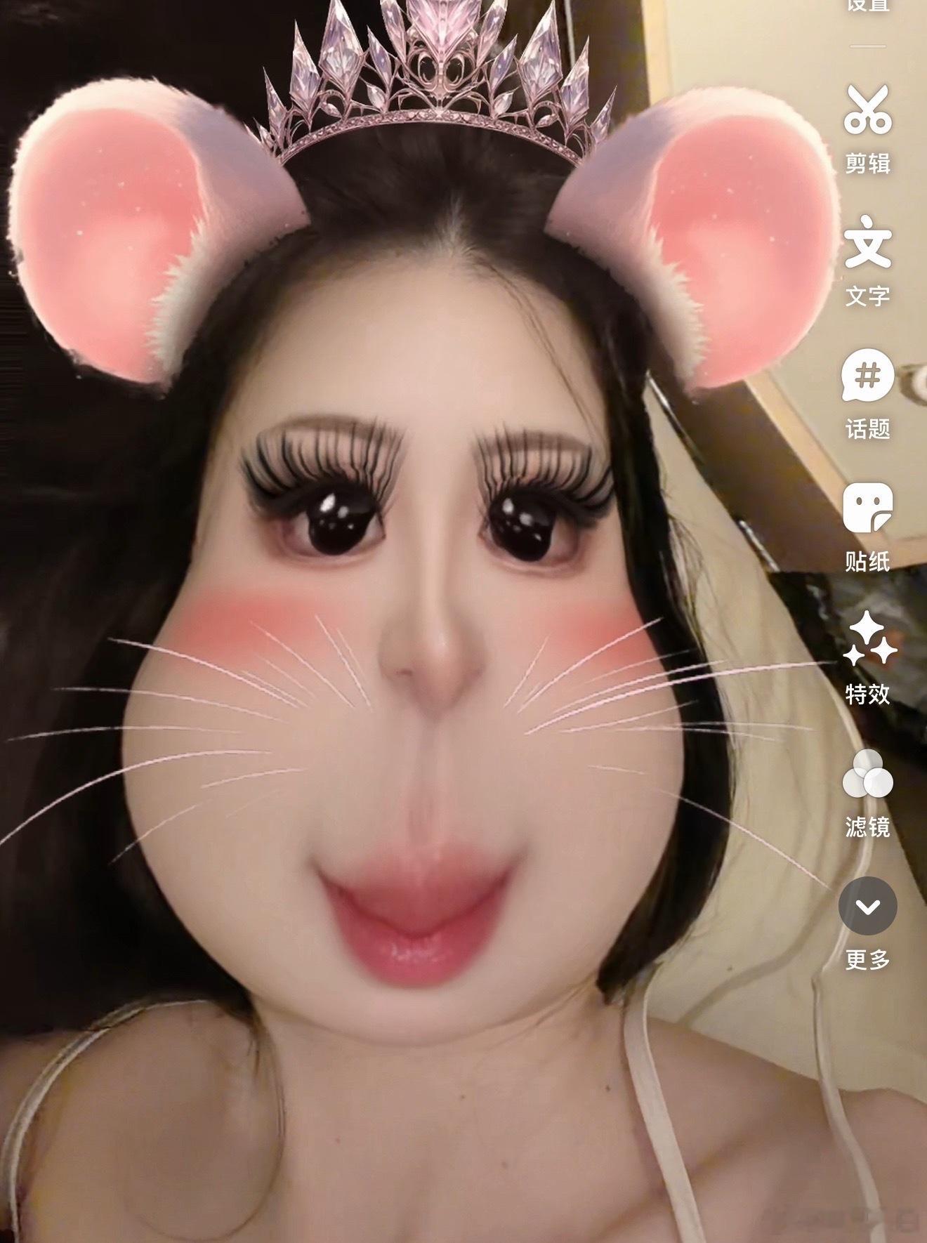 给我看看你们变成老鼠是什么样子 