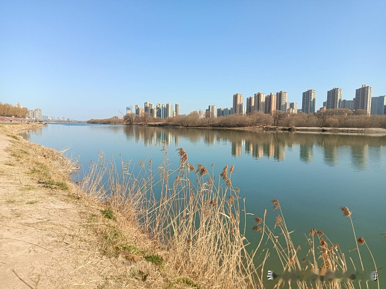 这几天连着都是好天气，隆冬的三九天变成了“立春”的艳阳天！今天下午我又去了趟咸阳